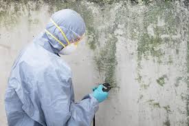 Best Emergency Mold Remediation  in Hawarden, IA